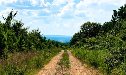 Thumbnail image of an access road