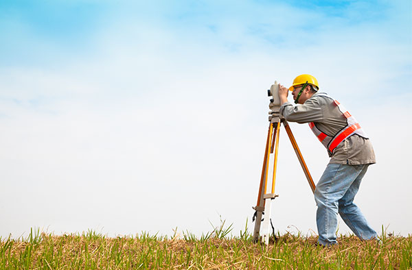 Field survey