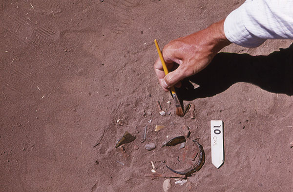 Excavation test